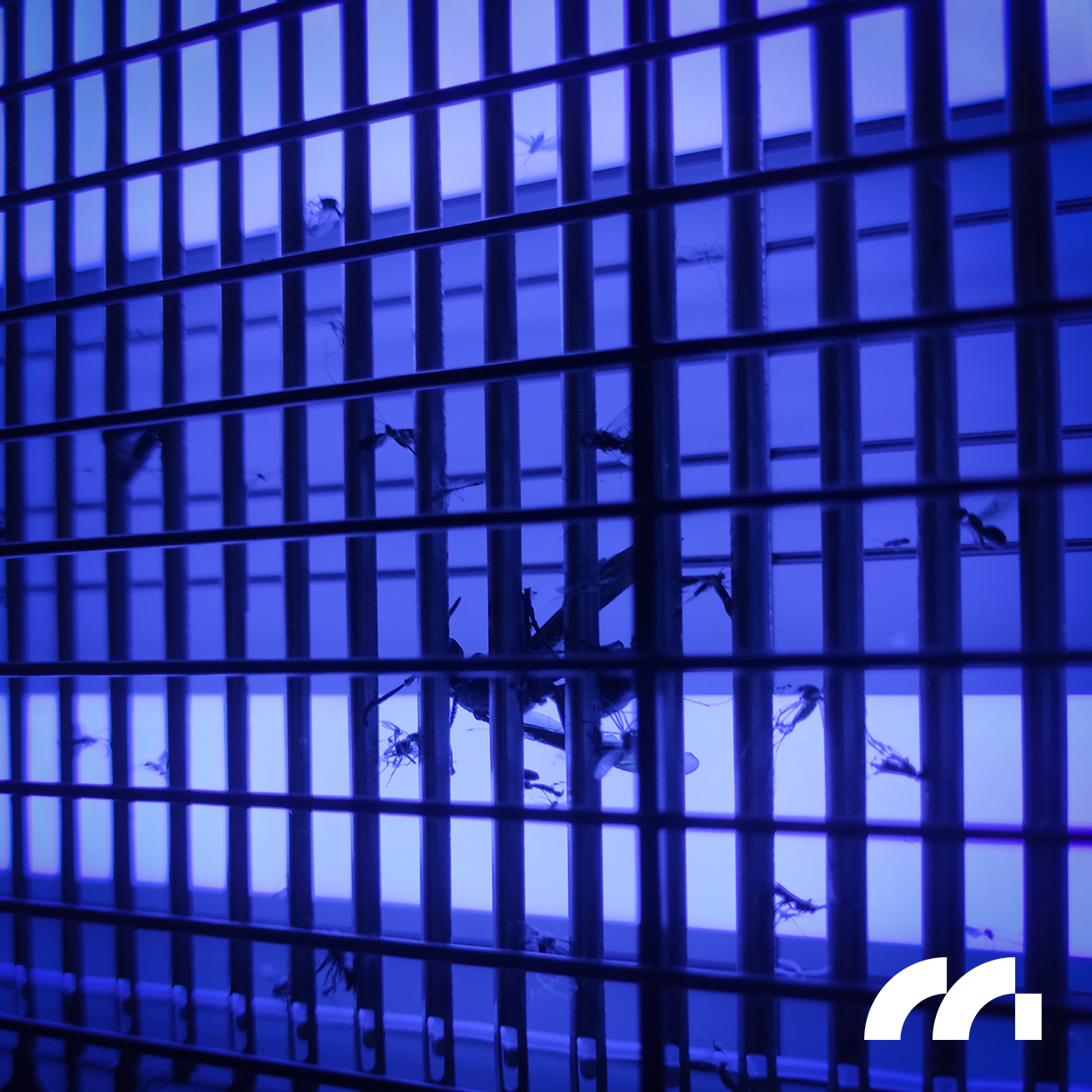 Lampa Owadobójcza 30W MasterKiller30W