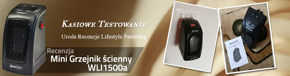 Огляд WT-2200KW