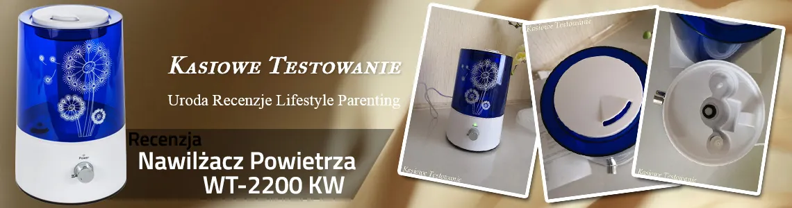 Огляд WT-2200KW